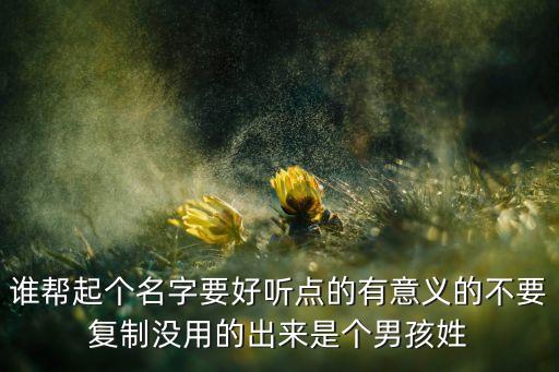 葉文浩，誰幫起個名字要好聽點的有意義的不要復(fù)制沒用的出來是個男孩姓
