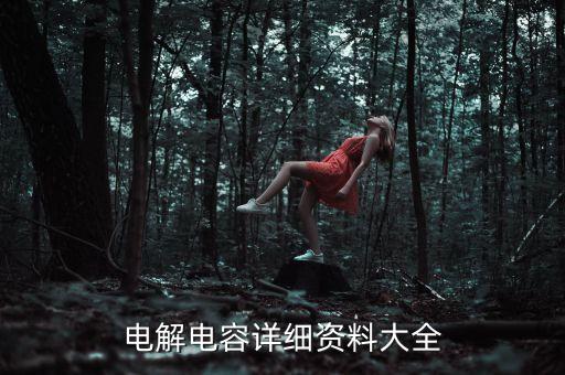 電解電容詳細(xì)資料大全