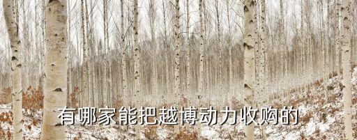 有哪家能把越博動力收購的