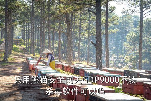 只用熊貓安全網(wǎng)關(guān)GDP9000不裝殺毒軟件可以嗎