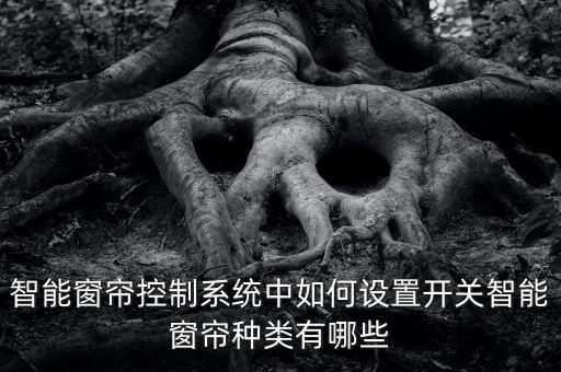智能窗簾控制系統(tǒng)，智能窗簾控制系統(tǒng)中如何設(shè)置開關(guān)智能窗簾種類有哪些
