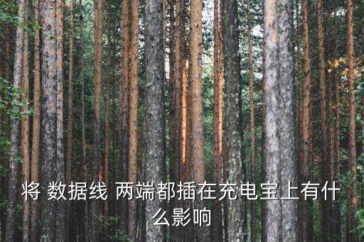 將 數(shù)據(jù)線 兩端都插在充電寶上有什么影響