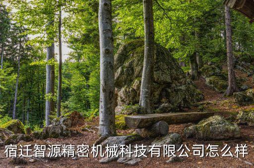 宿遷正規(guī)自動(dòng)化設(shè)備,怎么樣?東貝機(jī)電宿遷有限公司很好