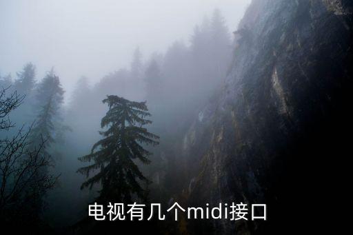 電視有幾個(gè)midi接口