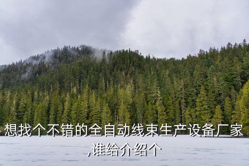 想找個(gè)不錯(cuò)的全自動(dòng)線束生產(chǎn)設(shè)備廠家,誰(shuí)給介紹個(gè)