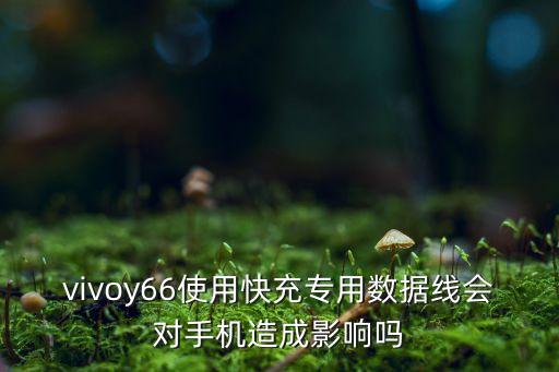 vivo快充數(shù)據(jù)線,手機(jī)快充充電線怎么走?