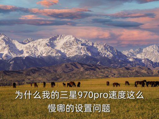 為什么我的三星970pro速度這么慢哪的設(shè)置問(wèn)題
