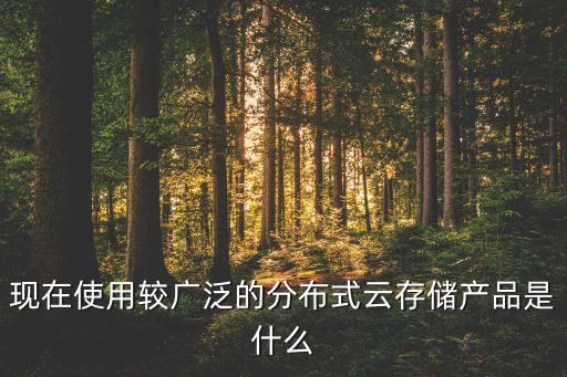 現(xiàn)在使用較廣泛的分布式云存儲(chǔ)產(chǎn)品是什么