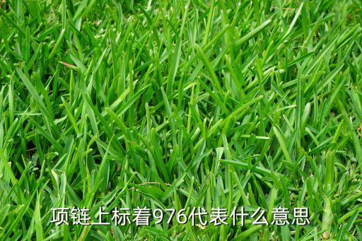 976，976什么意思
