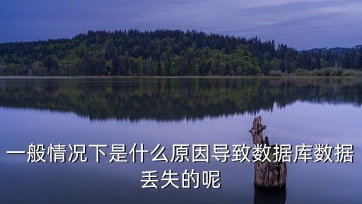 一般情況下是什么原因?qū)е聰?shù)據(jù)庫(kù)數(shù)據(jù)丟失的呢
