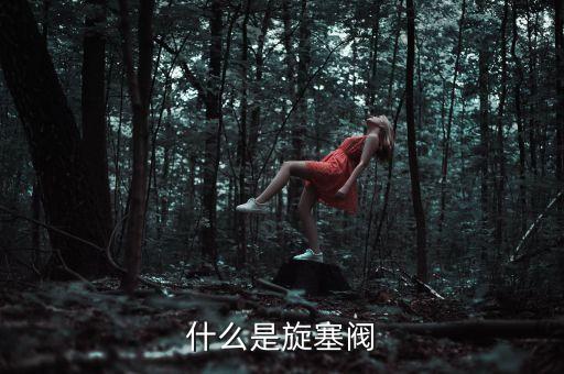 什么是旋塞閥
