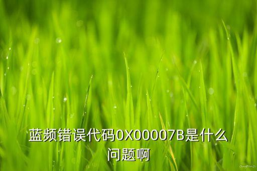 藍頻錯誤代碼0X00007B是什么問題啊