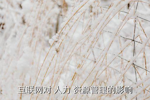 互聯(lián)網(wǎng)對(duì) 人力 資源管理的影響