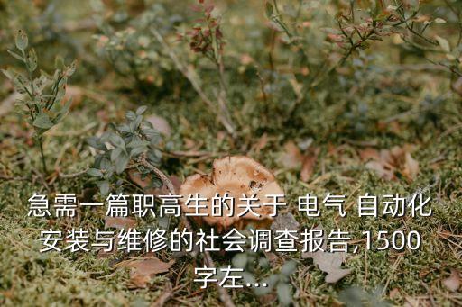 急需一篇職高生的關(guān)于 電氣 自動化安裝與維修的社會調(diào)查報告,1500字左...