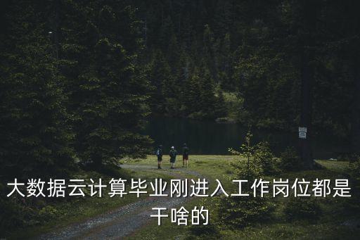 大數(shù)據(jù)云計(jì)算畢業(yè)剛進(jìn)入工作崗位都是干啥的