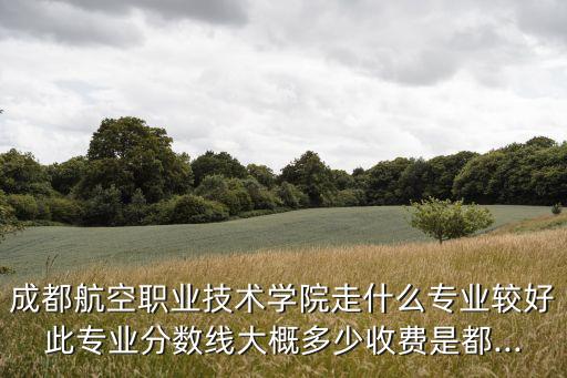 成都航空學(xué)院電氣自動(dòng)化,成都比較好的航空專業(yè)學(xué)校有哪些?