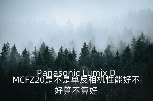Panasonic Lumix DMCFZ20是不是單反相機性能好不好算不算好