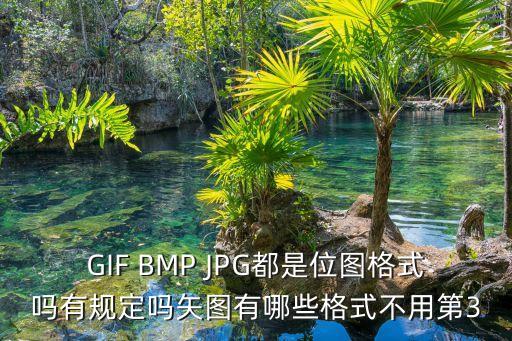 GIF BMP JPG都是位圖格式嗎有規(guī)定嗎矢圖有哪些格式不用第3