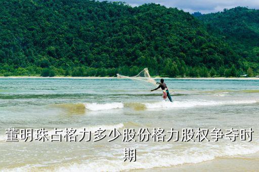 董明珠占格力多少股份格力股權(quán)爭奪時期