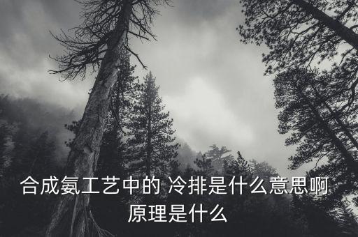合成氨工藝中的 冷排是什么意思啊 原理是什么