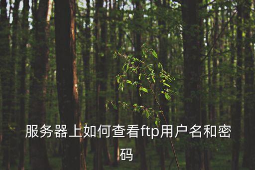  服務(wù)器上如何查看ftp用戶名和密碼