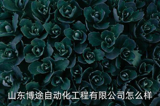 山東汽車自動化公司有哪些,山東有哪些自動化設(shè)備公司?