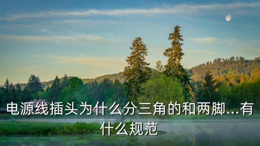 電源線插頭為什么分三角的和兩腳…有什么規(guī)范