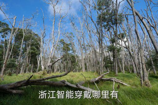 杭州慧測(cè)自動(dòng)化有限公司,杭州新松機(jī)器人自動(dòng)化有限公司