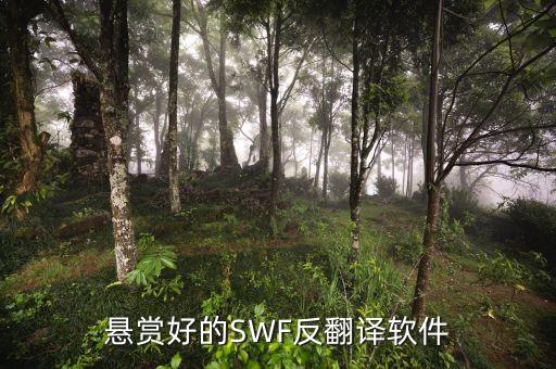 懸賞好的SWF反翻譯軟件