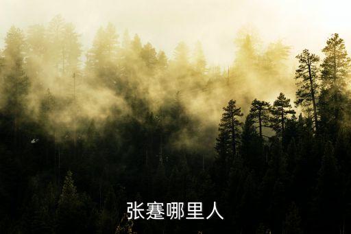 張宓，張蹇哪里人