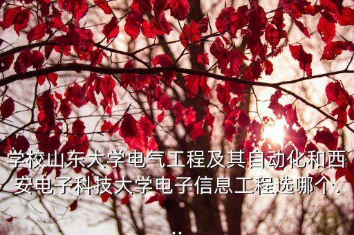 山東大學(xué)自動化專業(yè)好不好,山東大學(xué)的自動化專業(yè)怎么樣?
