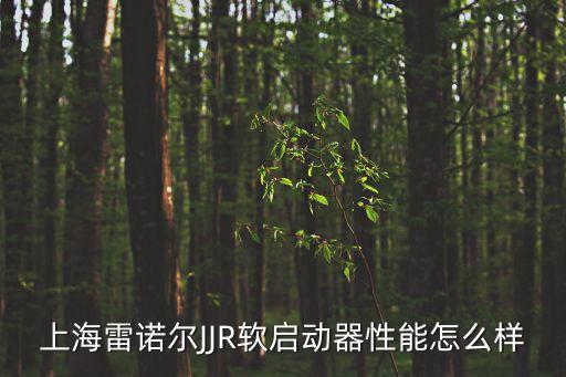 上海雷諾爾JJR軟啟動器性能怎么樣