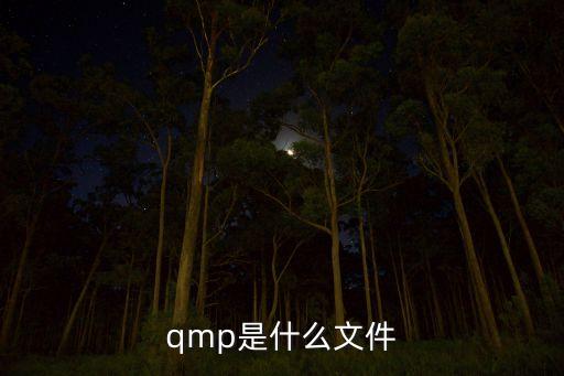 qmp是什么文件