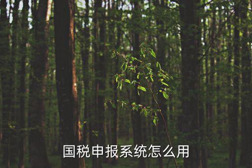 稅務(wù)電子申報(bào)系統(tǒng)，網(wǎng)上稅務(wù)申報(bào)具體有哪些步驟