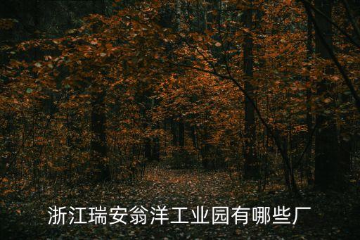 浙江瑞安翁洋工業(yè)園有哪些廠