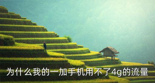 為什么我的一加手機(jī)用不了4g的流量