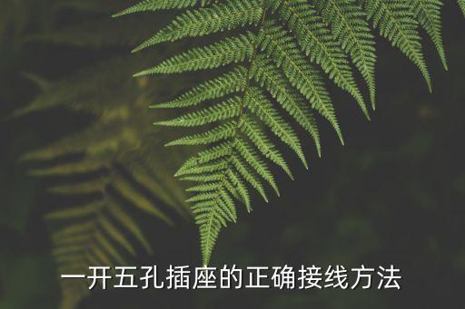 一開(kāi)五孔插座的正確接線方法