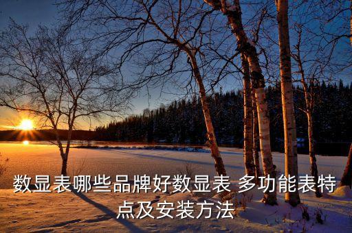 數(shù)顯表哪些品牌好數(shù)顯表 多功能表特點(diǎn)及安裝方法