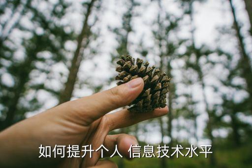 大數(shù)據(jù)信息素養(yǎng),信息素養(yǎng)的概念