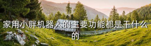 機(jī)器人小胖ID,小胖機(jī)器人有哪些功能?