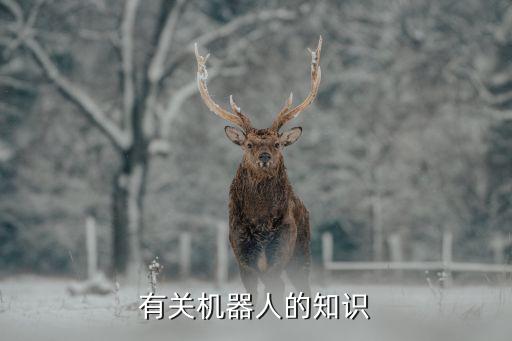 有關(guān)機(jī)器人的知識