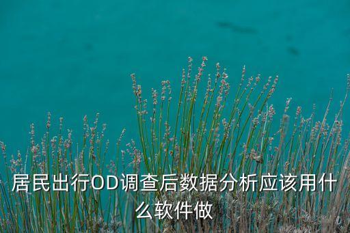 居民出行OD調(diào)查后數(shù)據(jù)分析應(yīng)該用什么軟件做