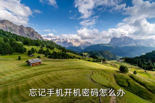 忘記手機(jī)開機(jī)密碼怎么辦