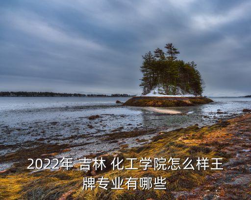 吉林化工有電氣自動(dòng)化嘛