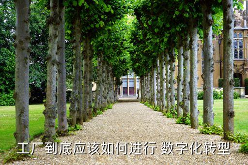工廠到底應(yīng)該如何進(jìn)行 數(shù)字化轉(zhuǎn)型