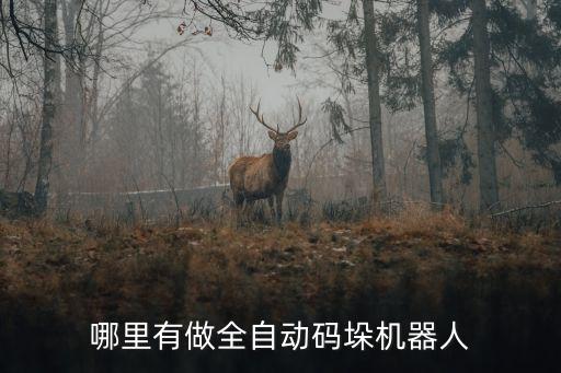 哪里有做全自動碼垛機(jī)器人