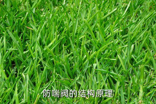 防喘閥的結(jié)構(gòu)原理