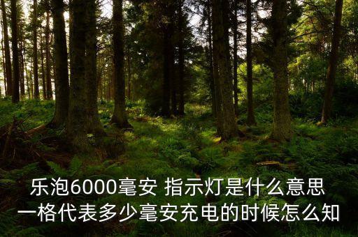 樂泡，樂泡充電寶怎么樣