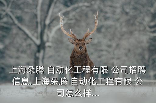寶山自動(dòng)化勞務(wù)公司排名