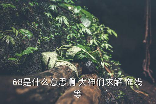68是什么意思啊 大神們求解 在線等
